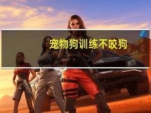 宠物狗训练不咬狗