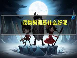 宠物狗训练什么好呢