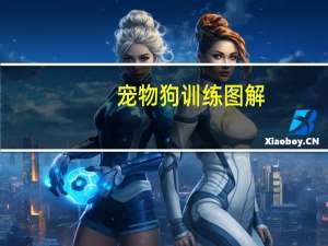 宠物狗训练图解