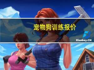 宠物狗训练报价