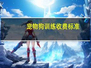 宠物狗训练收费标准