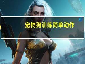 宠物狗训练简单动作