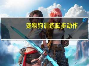 宠物狗训练脚步动作