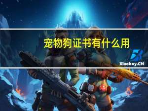 宠物狗证书有什么用