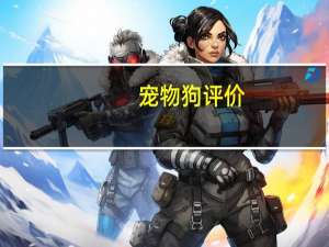 宠物狗评价
