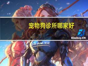 宠物狗诊所哪家好