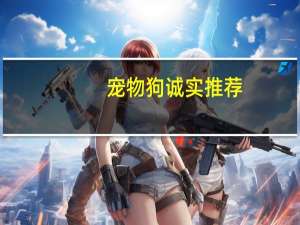 宠物狗诚实推荐