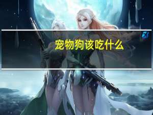 宠物狗该吃什么