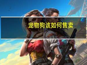 宠物狗该如何售卖