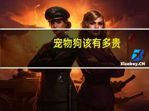 宠物狗该有多贵