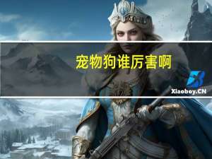 宠物狗谁厉害啊