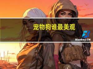 宠物狗谁最美观