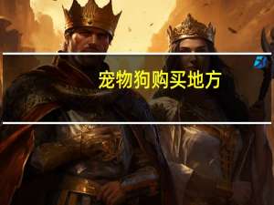 宠物狗购买地方