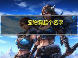 宠物狗起个名字