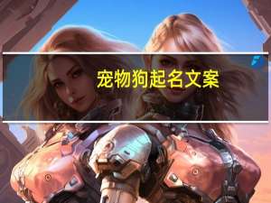 宠物狗起名文案