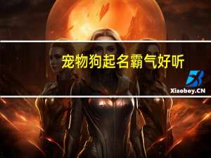 宠物狗起名霸气好听