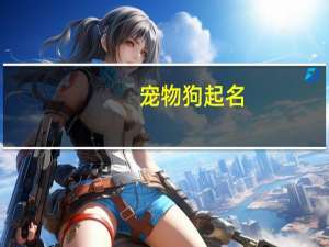 宠物狗起名