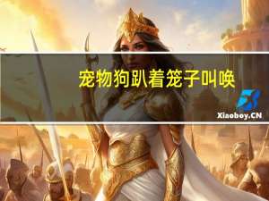 宠物狗趴着笼子叫唤