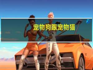宠物狗跟宠物猫