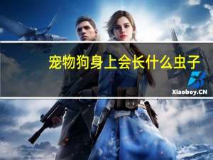 宠物狗身上会长什么虫子