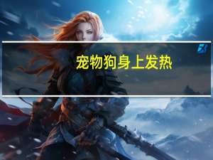 宠物狗身上发热