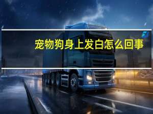 宠物狗身上发白怎么回事