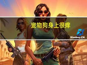 宠物狗身上很痒