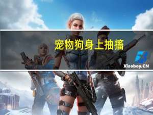 宠物狗身上抽搐