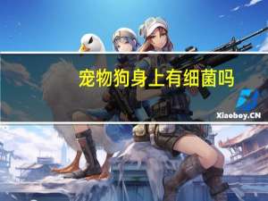 宠物狗身上有细菌吗