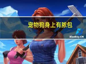 宠物狗身上有脓包