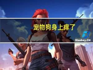 宠物狗身上痒了