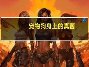 宠物狗身上的真菌