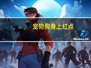 宠物狗身上红点