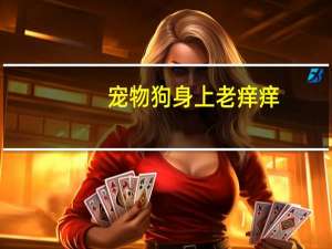 宠物狗身上老痒痒