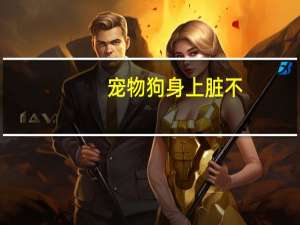 宠物狗身上脏不