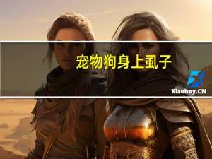 宠物狗身上虱子