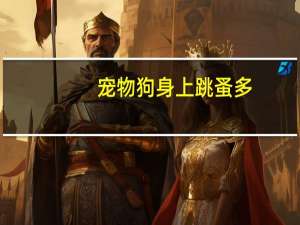 宠物狗身上跳蚤多