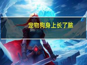 宠物狗身上长了脓