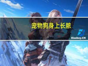 宠物狗身上长脓