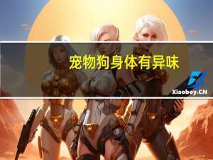 宠物狗身体有异味