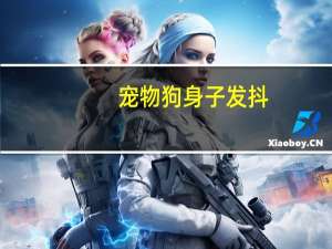 宠物狗身子发抖