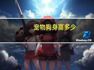 宠物狗身高多少