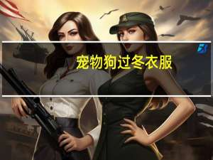 宠物狗过冬衣服