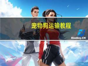 宠物狗运输教程