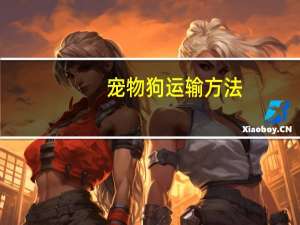 宠物狗运输方法