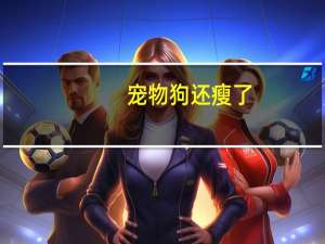 宠物狗还瘦了