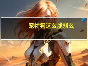 宠物狗这么脆弱么