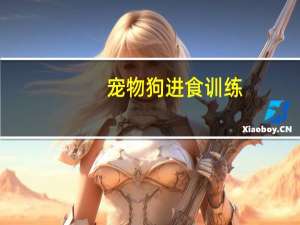 宠物狗进食训练