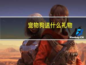 宠物狗送什么礼物