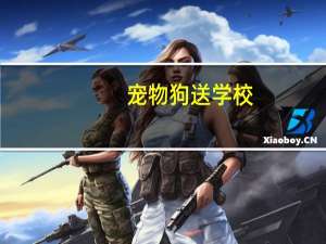 宠物狗送学校